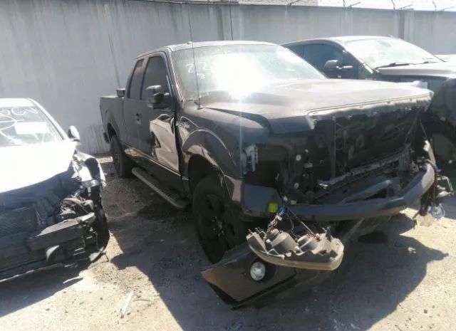 FORD F-150 2013 1ftfx1cf6dfc20385