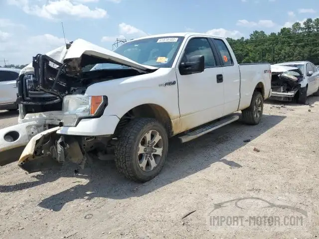 FORD F-150 2013 1ftfx1cf6dfc32164