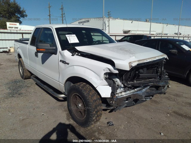 FORD F-150 2013 1ftfx1cf7dfb92029