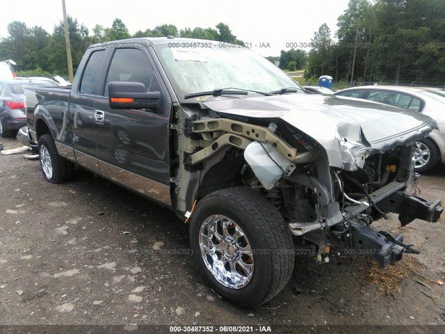 FORD F-150 2013 1ftfx1cf7dkg42365