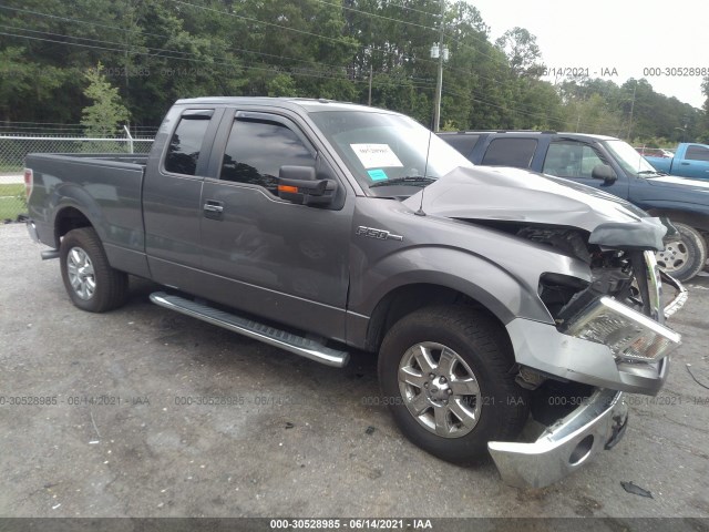 FORD F-150 2013 1ftfx1cf8dfa09804