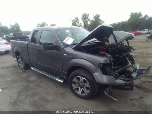 FORD F-150 2013 1ftfx1cf8dkf42632