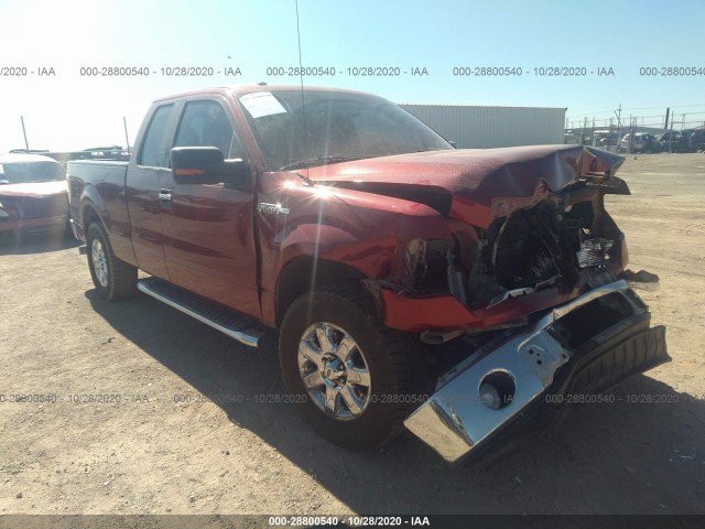 FORD F-150 2013 1ftfx1cf9dfe06888