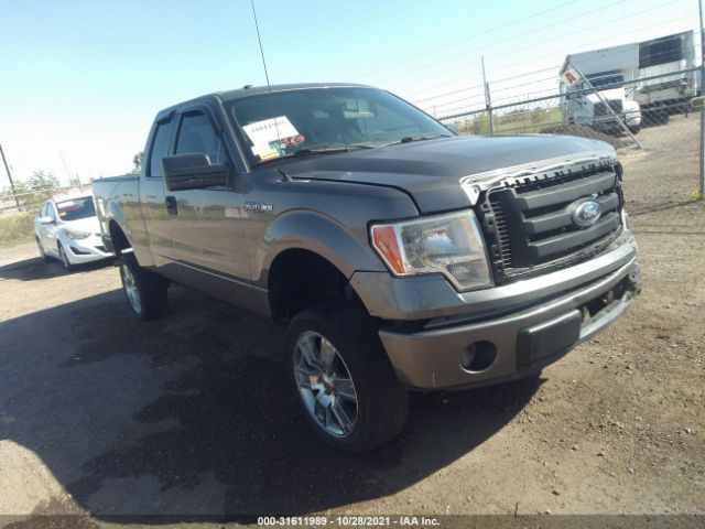 FORD F-150 2013 1ftfx1cfxdfb19172