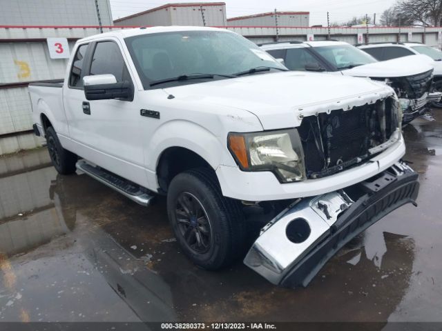 FORD F-150 2013 1ftfx1cfxdfb98066