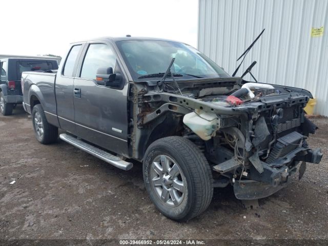 FORD F-150 2014 1ftfx1ct2efc69669