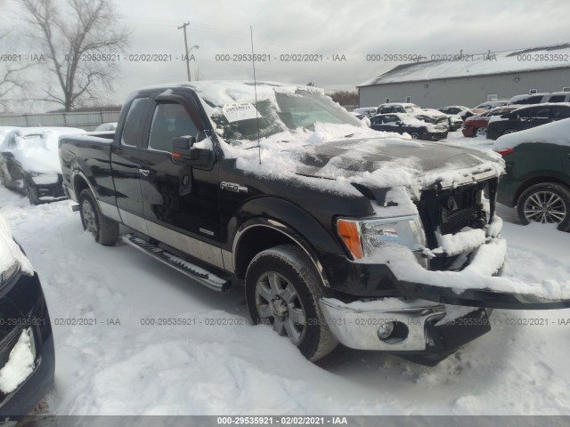 FORD F-150 2013 1ftfx1ct4dfb65876