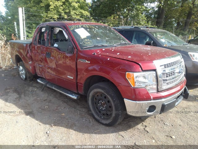 FORD F-150 2013 1ftfx1ct4dfd02377