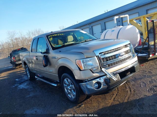 FORD F-150 2013 1ftfx1ct5dfc70619