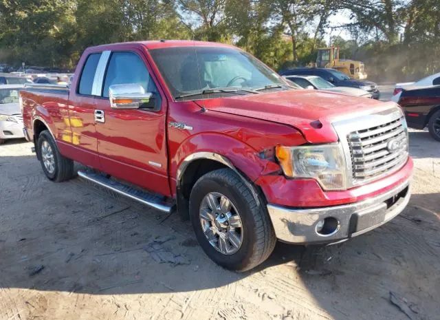 FORD F-150 2011 1ftfx1ct7bfd01351