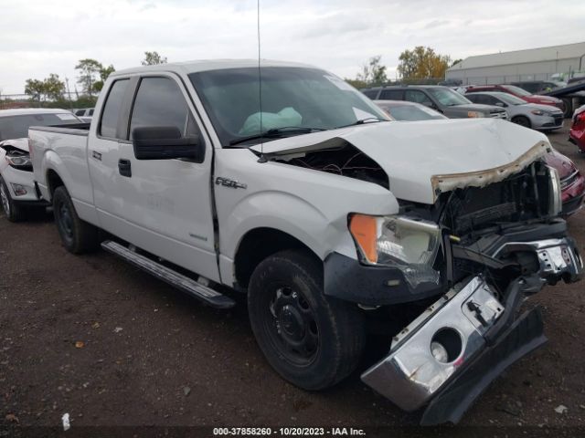 FORD F-150 2013 1ftfx1ct7dkd66419