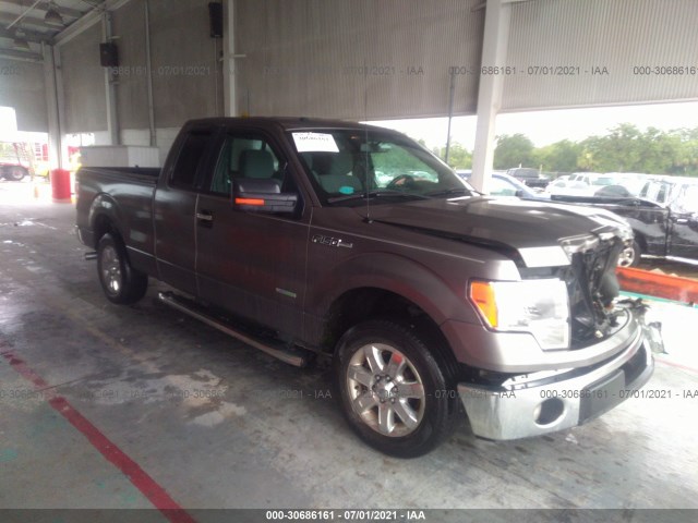 FORD F-150 2013 1ftfx1ct8dfc77161