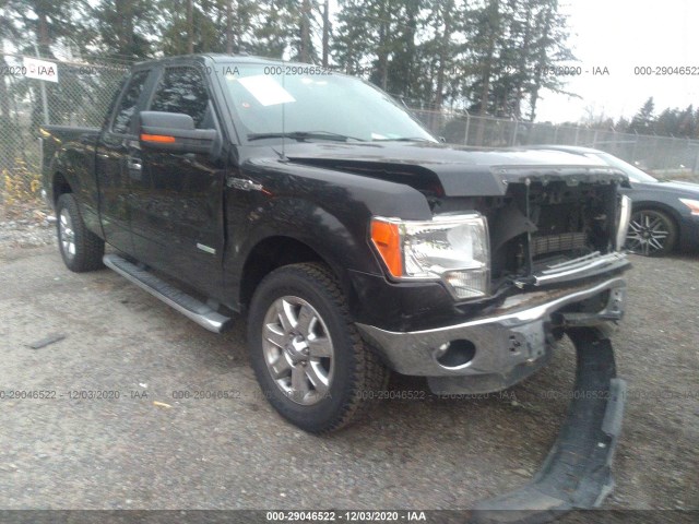 FORD F-150 2013 1ftfx1ct9dfd34287