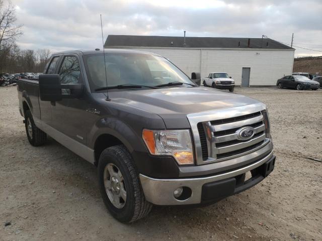 FORD F150 SUPER 2011 1ftfx1ctxbfd24462