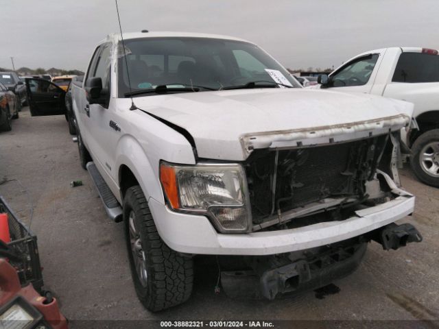 FORD F-150 2013 1ftfx1ctxdfd69789