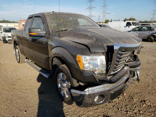 FORD F150 SUPER 2010 1ftfx1cv7afd09630