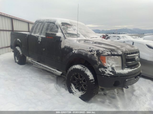 FORD F-150 2013 1ftfx1ef0dfb03902