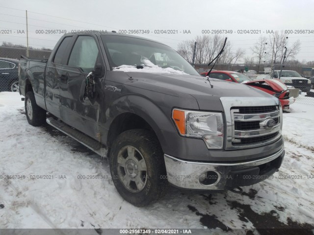 FORD F-150 2013 1ftfx1ef0dfb43123