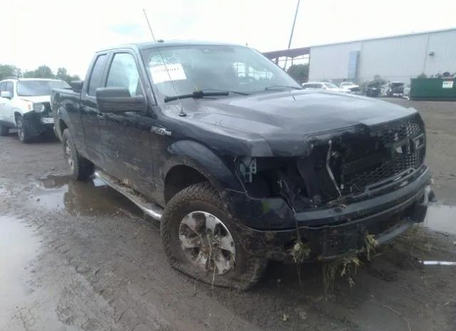 FORD F-150 2013 1ftfx1ef0dfb51576