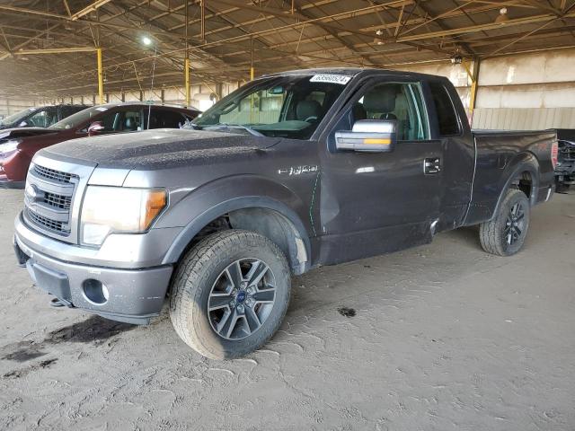 FORD F-150 2013 1ftfx1ef0dfb62545