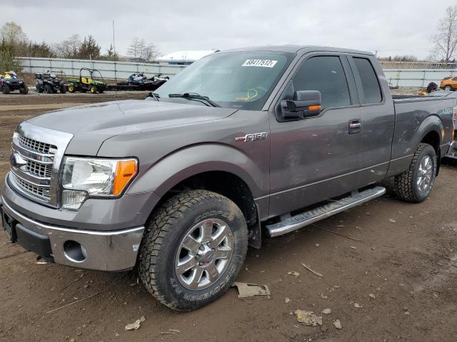 FORD F150 4WD 2013 1ftfx1ef0dfd98645