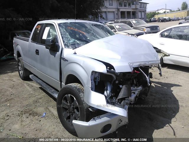 FORD F-150 2013 1ftfx1ef0dke45566