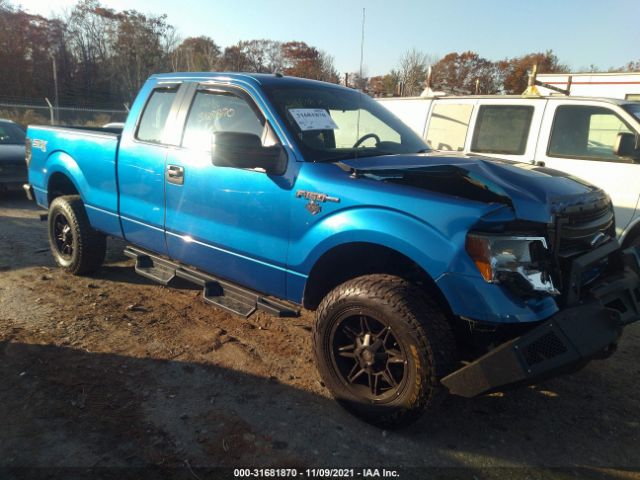 FORD F-150 2014 1ftfx1ef0efb41566