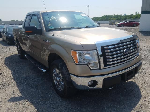 FORD F150 SUPER 2011 1ftfx1ef1bfb22102