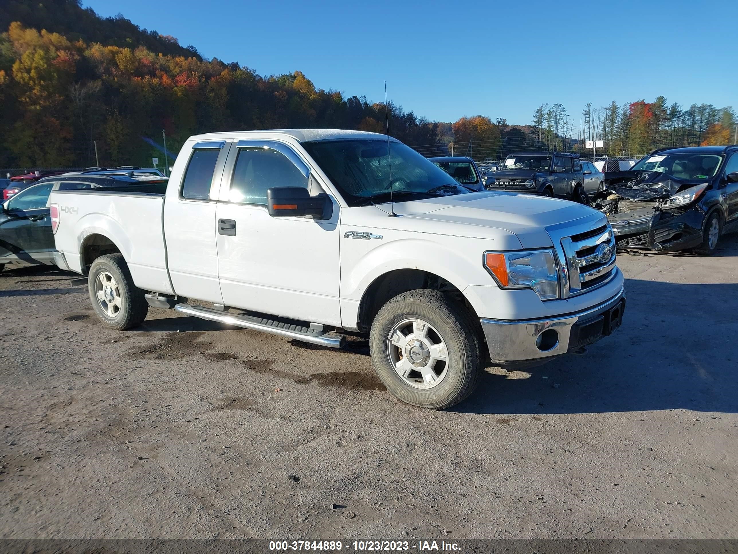 FORD F-150 2011 1ftfx1ef1bfb31057