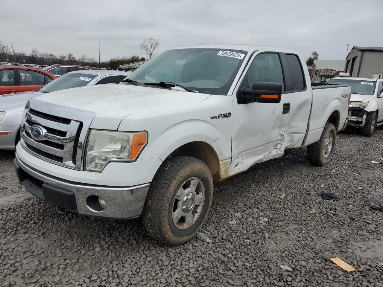 FORD F-150 2011 1ftfx1ef1bfb66049