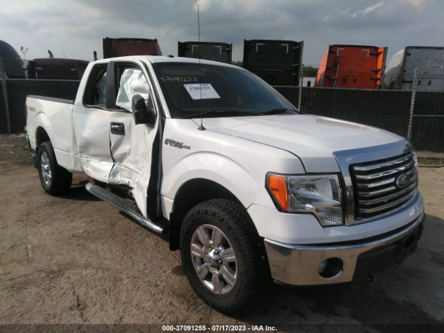 FORD F-150 2011 1ftfx1ef1bfd21943