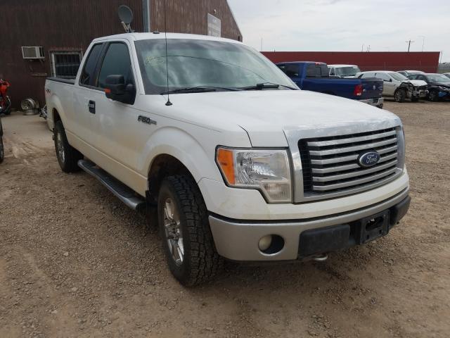 FORD F150 SPRCB 2011 1ftfx1ef1bfd42615