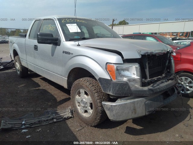 FORD F-150 2013 1ftfx1ef1dfa03498