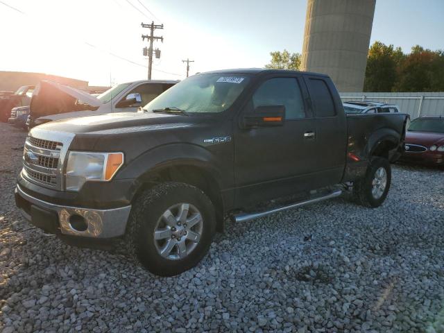 FORD F-150 2013 1ftfx1ef1dfc79065