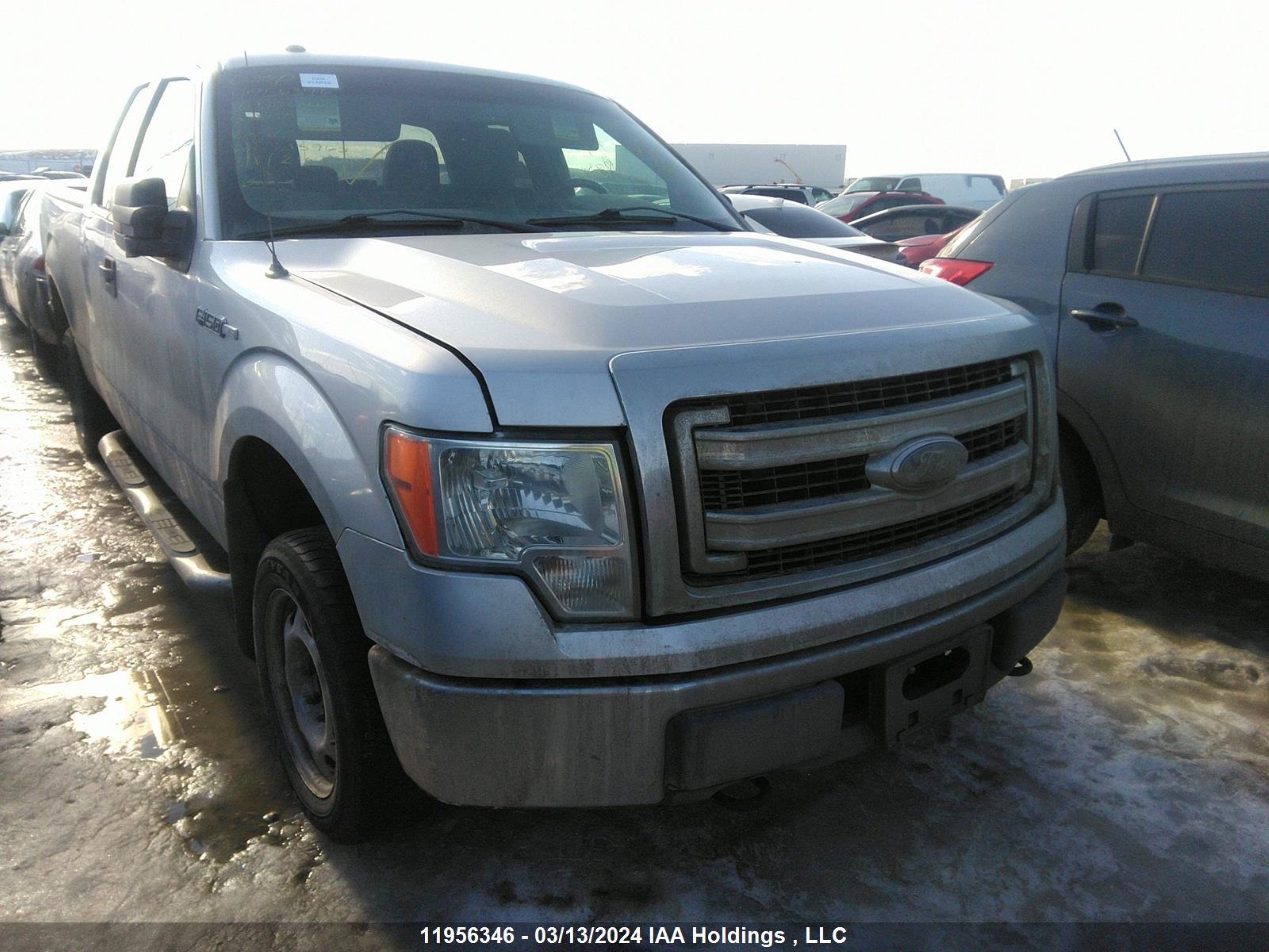 FORD F-150 2013 1ftfx1ef1dfd06412