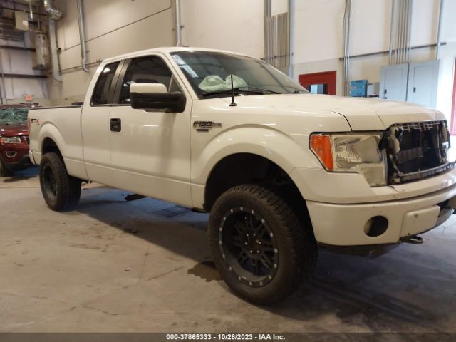 FORD F-150 2013 1ftfx1ef1dfd18026