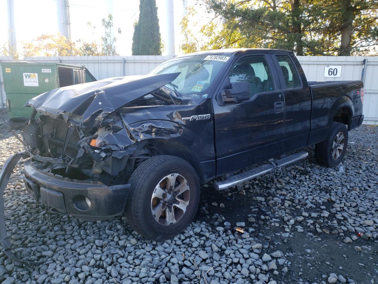 FORD F-150 2013 1ftfx1ef1dke95974