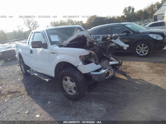 FORD F-150 2013 1ftfx1ef1dkf21666