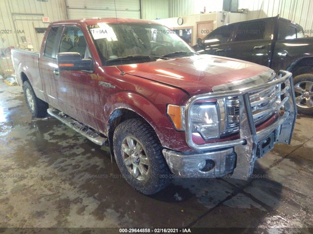 FORD F-150 2013 1ftfx1ef1dkf66400