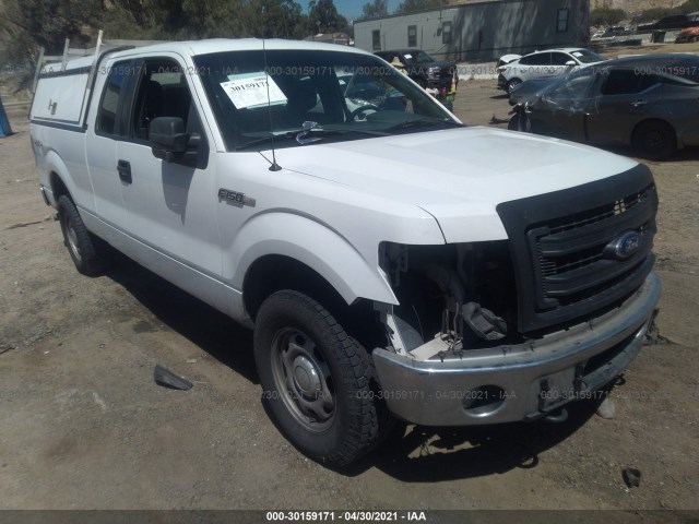 FORD F-150 2013 1ftfx1ef1dkg31715