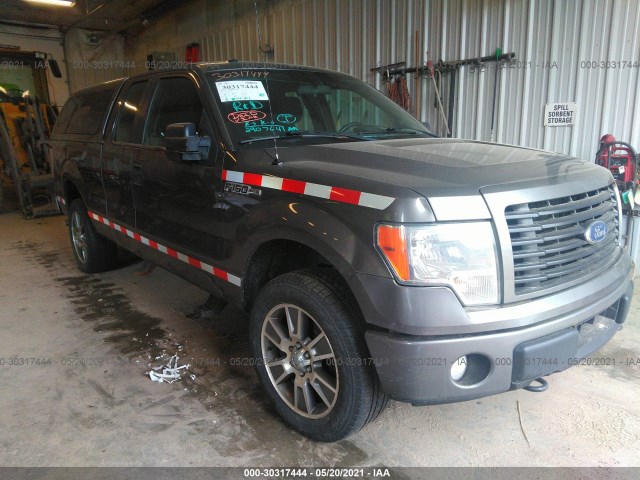 FORD F-150 2014 1ftfx1ef1efa27396