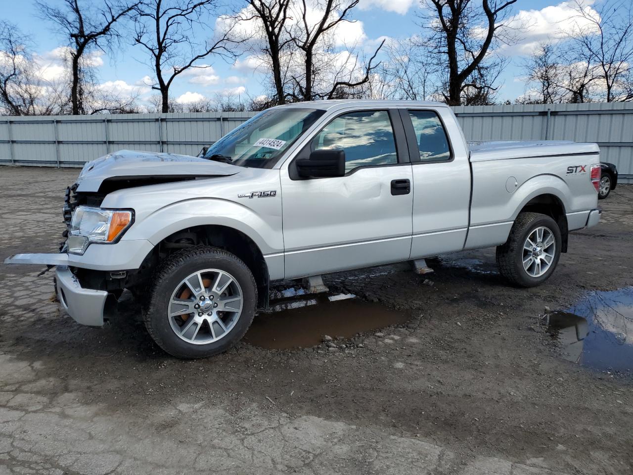 FORD F-150 2014 1ftfx1ef1efb82904