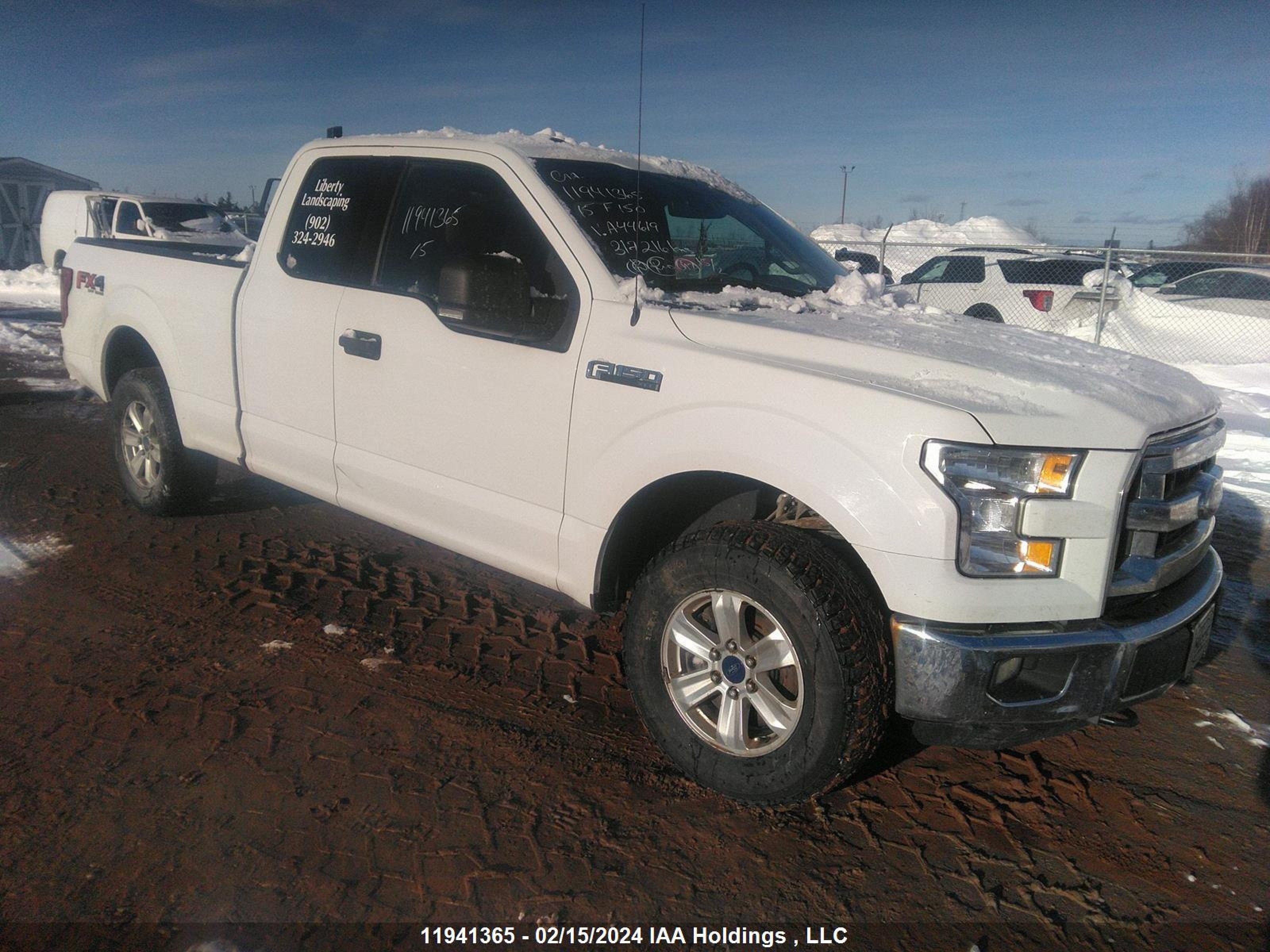 FORD F-150 2015 1ftfx1ef1ffa44619