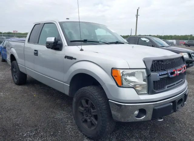 FORD F-150 2013 1ftfx1ef2dfa36221