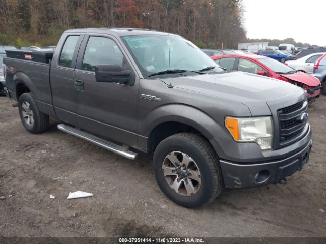 FORD F-150 2013 1ftfx1ef2dfa64262