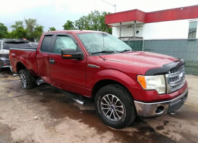 FORD F-150 2013 1ftfx1ef2dfb50316