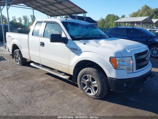 FORD F-150 2013 1ftfx1ef2dfb58142