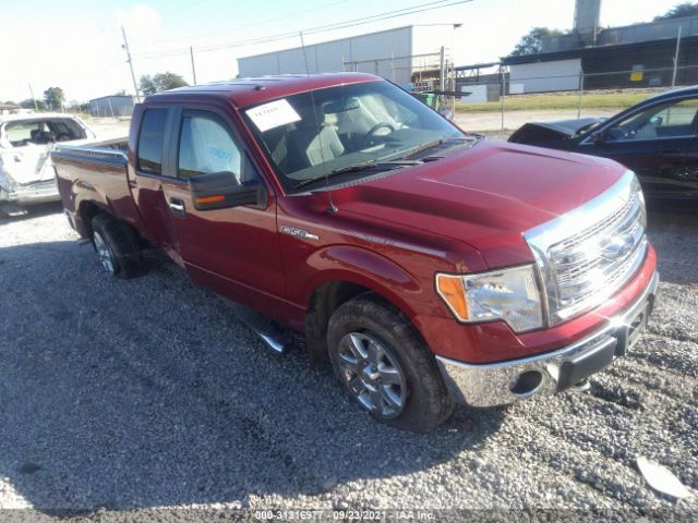 FORD F-150 2013 1ftfx1ef2dfb88029