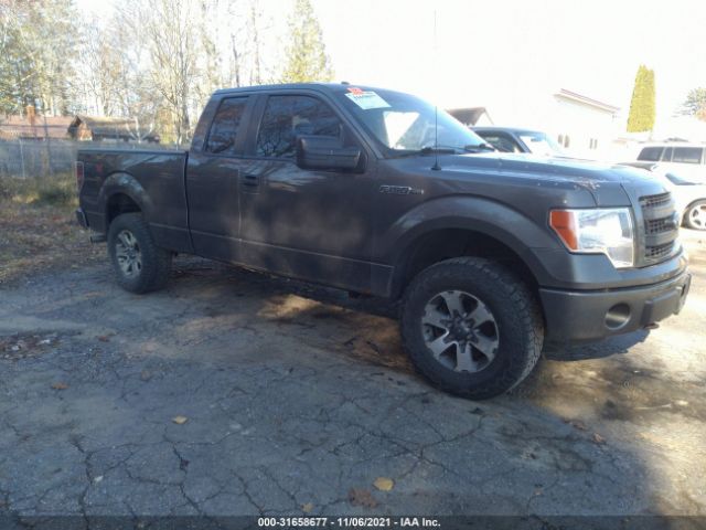 FORD F-150 2013 1ftfx1ef2dfc99888