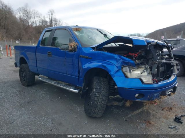 FORD F-150 2013 1ftfx1ef2dfd79014